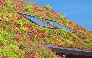 Bishopsgarth living roof systems
